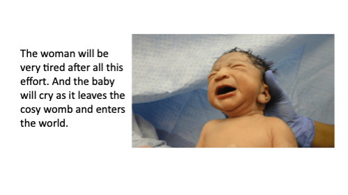 The woman will be very tired after all this effort and the baby will cry as it leaves the cost womb and enters the world.