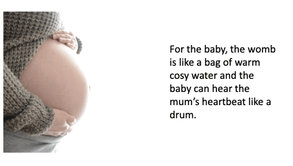 For the baby, the womb is like a bag of warm cosy water and the baby can hear the mum's heartbeat like a drum.