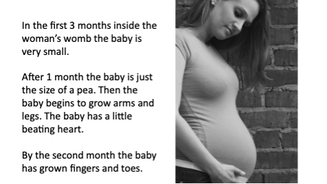 In the first 3 months inside the woman's womb the baby is very small.