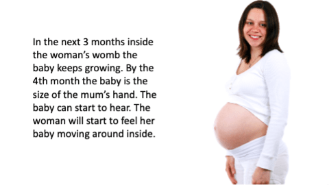 In the next 3 months inside the woman's womb the baby keeps growing.