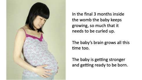 In the final 3 months inside the womb, the baby keeps growing so much that it needs to be curled up.